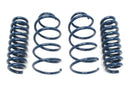 DINAN PERFORMANCE SPRING SET - 2007-2011 BMW 335I-1
