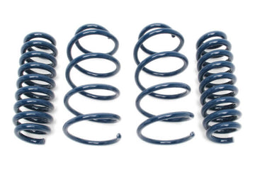 DINAN PERFORMANCE SPRING SET - 2007-2011 BMW 335I