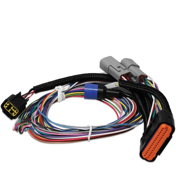 MSD Harness Replacement. 7730. Power Grid