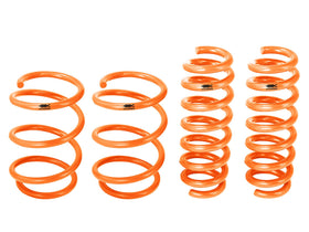 AFE CONTROL LOWERING SPRINGS: 2016+ BMW M2 - 0