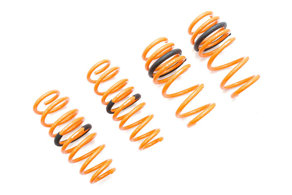 Tesla Model 3 AWD 17+ (EXC RWD) Lowering Springs