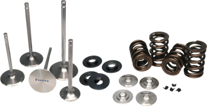 FERREA RACING COMPONENTS DUAL SPRING KIT: 2009+ NISSAN GT-R