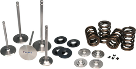 FERREA RACING COMPONENTS DUAL SPRING KIT: 2009+ NISSAN GT-R