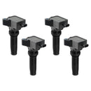 COIL, BLACK, 2019-2022 FORD ECO-BOOST 2.0L L4, SET OF 4-1