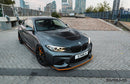 Alpha N F87 M2 Carbon GTS Hood-5