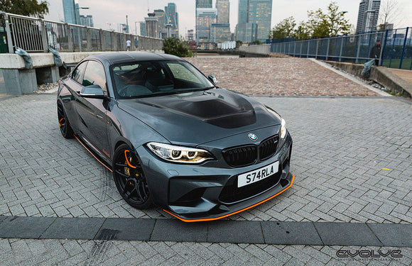 Alpha N F87 M2 Carbon GTS Hood
