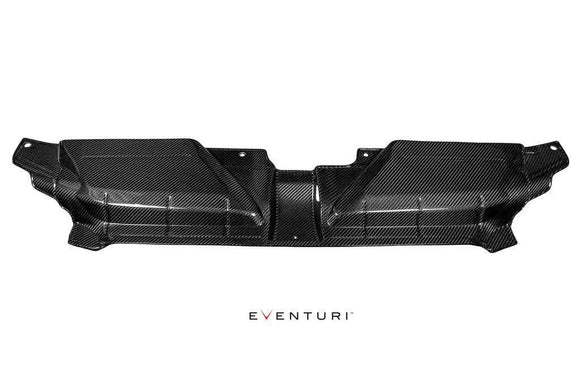 Eventuri B8 RS5 Carbon Slam Panel Cover