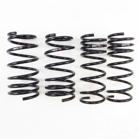 RS-R 13+ Subaru BRZ (ZC6) Super Down Springs