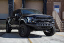 Addictive Desert Designs 17-18 Ford F-150 Raptor Stealth Fighter Front Bumper-13