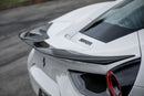 AERO 488 Aero Decklid Spoiler Carbon Fiber PP 1x1 Glossy-1