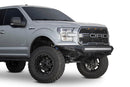 Addictive Desert Designs 15-17 Ford F-150 EcoBoost Stealth Fighter Front Bumper-2