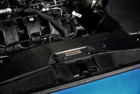 Focsu MK4, MK4 ST, KUGA Carbon Fiber Front Induct