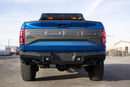 2017 - 2020 Ford Raptor HoneyBadger Rear Bumper-3