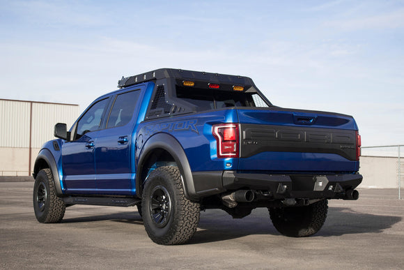 2017 - 2020 Ford Raptor HoneyBadger Rear Bumper
