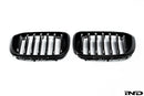 BMW M Performance G01 X3 / G02 X4 Pre-LCI Front Grille Set-2