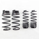 RS-R 09-13 Honda Fit (GE8) Super Down Springs-1