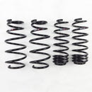 RS-R 09-13 Honda Fit (GE8) Down Sus Springs-1