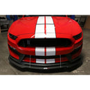 CARBON FIBER Wind Splitter With Rods Shelby Mustang GT350 2016-17-2