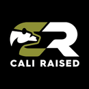 Cali Raised 2021+ Ford Raptor Ditch Light Mount Kit - 2 3X2 18W Led Pods / 2 3X2 18W Led Pods-2
