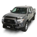 Westin 2016-2018 Toyota Tacoma Wade Platinum Bug Shield - Smoke-2
