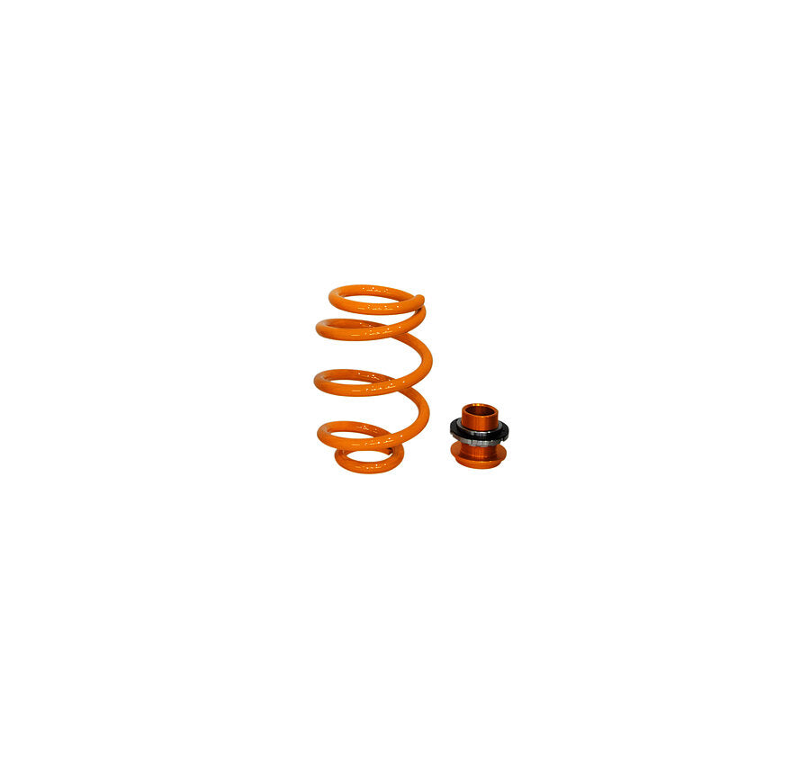 Ohlins 2017+ Tesla Model 3 / 2020+ Tesla Model Y Street Tuned Suspension System with Springs