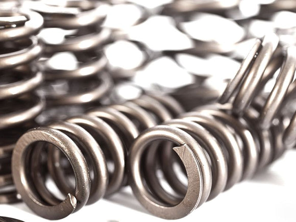 IE V6 30V 2.7T Valve Spring/Titanium Retainer Kit