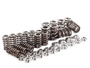 IE 1.8T 20V Valve Spring/Retainer Kit-1