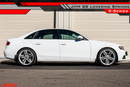 Lowering Springs, S-Series (JHM) for B8 A4-S4-6