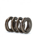 Skunk2 Tuner Series Honda/Acura (K20/K24/F20C/F22C) DOHC VTEC Alpha Valve Spring Set (Dual Springs)-2