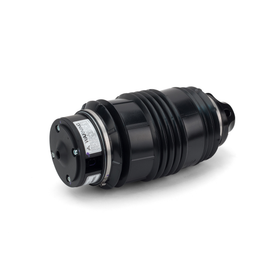 Air Spring Rear