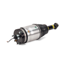 Air Strut Rear 10-13 Land Rover Range Rover Sport (L320) - Supercharged Only, w/VDS/CVD-1