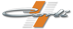 Carli Ford Torsion Sway Bar System - Lvl - No End Links