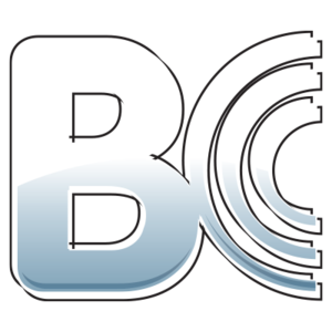Brian Crower Honda/Acura B18C/B16A/B17A 29mm Exhaust Valves