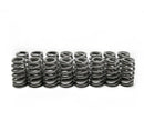 BTR .560" LS6 BEEHIVE VALVE SPRING SET - SP011-16-1