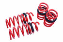 Lowering Springs – Euro-Version for Audi R8 Coupe / Cabriolet 08-15-1