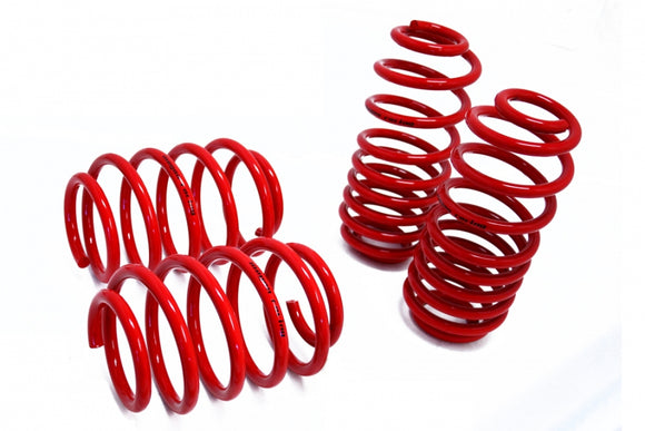 Lowering Springs – Euro-Version for Audi TT 08-14 – MR-LS-AT07