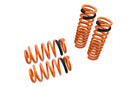 Lowering Springs for Dodge Charger 06-10-1