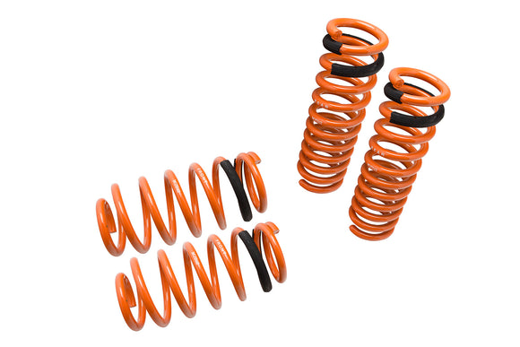 Lowering Springs for Dodge Charger 06-10