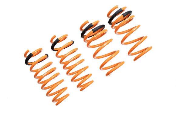 Tesla Model 3 17+ (RWD Only) Lowering Springs