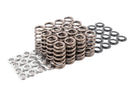 APR VALVE SPRINGS/SEATS/RETAINERS - SET OF 16-1