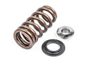 APR VALVE SPRINGS/SEATS/RETAINERS - SET OF 24-1