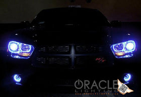 Oracle Dodge Charger 11-12 LED Fog Halo Kit - White SEE WARRANTY