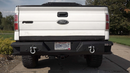 Fishbone Offroad 09-14 Ford F150 Rear Bumper - Black-2