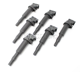 BMW Ignition Coil Kit (Set of 6) - Genuine BMW 12138647689KT1