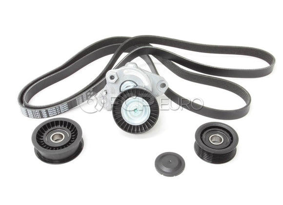 Mercedes Drive Belt Kit - INA 272273BELTKT2