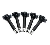 VW Ignition Coil Kit - Bosch KIT-07K905715FKT10