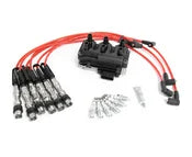 VW Ignition Service Kit - Bremi KIT-021905106CKT