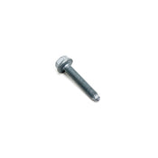 Audi VW Belt Tensioner Bolt - Rein N10268304