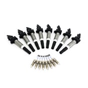 BMW Ignition Service Kit - 12138616153KT10