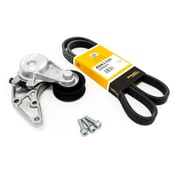 VW Accessory Belt Kit - INA KIT-022145299DKT1